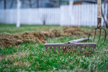 Bahçe hazırlık mevsimi kıştan kışa. Çimleri kuru otlardan tırmıkla temizliyorum. Bahçe bakımı.