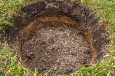 Çimlerde ağaç dikmek için bir delik açılır..