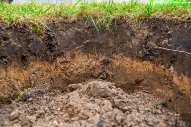 Çimlerin altındaki toprak tabakalarının yakın çekimi. İlkbaharda fideleri dikmek için kazılmış bir çukur..