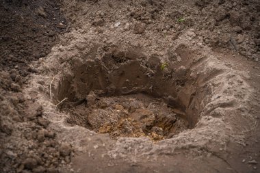 İlkbaharda ağaç dikmek için kazılmış yuvarlak bir çukur. Bahçe hazırlığı ve planlama.