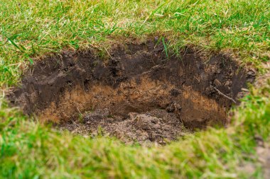 Çimlerde ağaç dikmek için bir delik açılır..