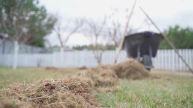 İşçiler bahçe düzenlemesi için arka bahçe hazırlamakla meşguller. Bir el arabası enkaz toplamaya hazırlanırken taze kesilmiş çimenler yere seriliyor. Bu faaliyet mevsimlik bahçe bakımını gösteriyor..