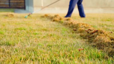 Bir yerleşim bölgesinde, bir kişi bahçe bakımıyla çimleri sökerek ilgilenir. Güneş, büyümeyi ve sağlığı desteklemek için ölü otları dikkatlice kaldırırken ışıldıyor..