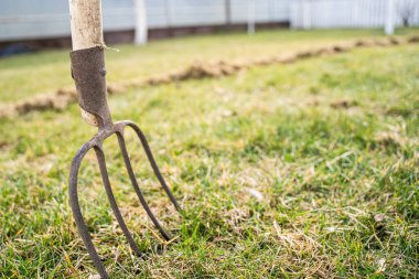 Kıştan sonra kuru çimlerden temizlenmiş bir çimenliğin arka planındaki dirgen. Baharda bahçe bakımı.