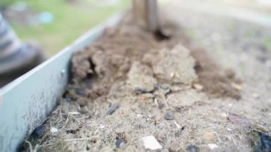 Bitkisel bir bahçe yatağında çapayla toprak yetiştirmek, yavaş çekimde yakın çekim. Yüksek kaliteli FullHD görüntüler