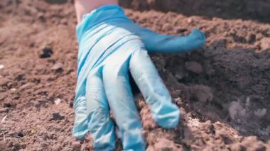 Bir el sebze bahçesinde toprağa yeni ekilmiş tohumları kaplıyor. Yakın çekim ve yavaş çekim. Yüksek kaliteli FullHD görüntüler