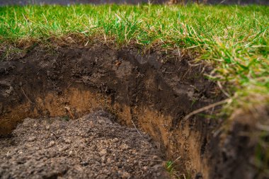 Çimlerin altındaki toprak tabakalarının yakın çekimi. İlkbaharda fideleri dikmek için kazılmış bir çukur..