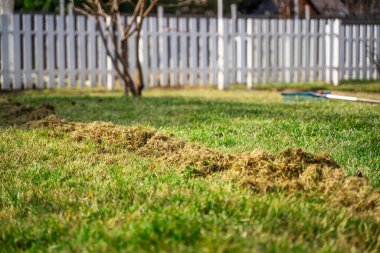 Kıştan sonra çimleri tırmıklamanın bir sonucu olarak kuru bir ot yığını. Bahar çim bakımı ve temizlik.