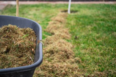 Baharın çimlerini temizledikten sonra çim biçen el arabası. Kış sonrası bahçe bakımı.