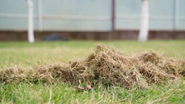 Çimenlikten fırçalanmış kuru bir ot yığını, yakın plan. Pürüzsüz kamera hareketi. Yüksek kaliteli FullHD görüntüler
