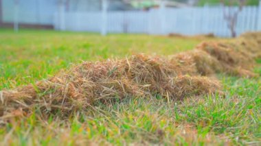 Çimleri temizledikten sonra kuru otlar boyunca düzgün bir kamera hareketi. Çim tarama. Yüksek kaliteli FullHD görüntüler