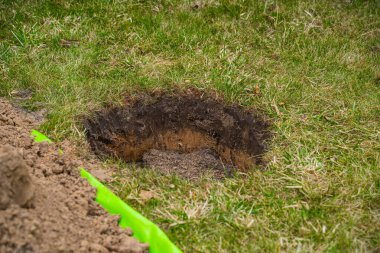 Çimlerde ağaç dikmek için bir delik açılır..
