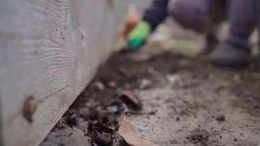 Gübre yığınının yanında temizlik, bulanık arkaplan. Bir banliyö bölgesinde mevsimlik bahar işleri. Yüksek kaliteli FullHD görüntüler