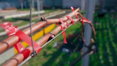 Bahçe zımbasıyla kıştan sonra asma evine bağlanmış, yakın plan. Yapraksız üzüm bağı. Yüksek kaliteli FullHD görüntüler