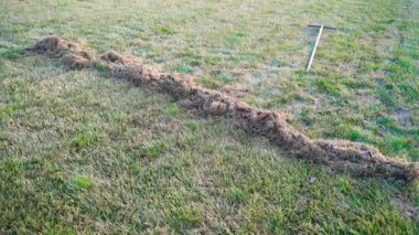 Kıştan sonra çimleri kuru ve ölü otlardan temizleme işlemi. Yüksek kaliteli FullHD görüntüler