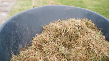 Bahçe arabası, kış ve çimenlik bakım araçlarında ölen kuru otlarla dolu. Yüksek kaliteli FullHD görüntüler