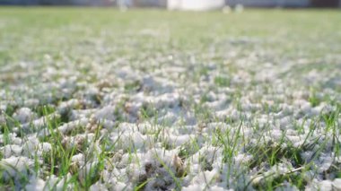 Karla kaplı çimlerin üzerinde hareketli, güneşli bir gün. Yüksek kaliteli FullHD görüntüler