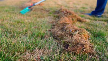 Çimleri tırmıkla tarama işlemi. Yüksek kaliteli FullHD görüntüler