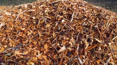 Ahşap parçalarından oluşan bir dağın yakın çekimi, düzgün kamera hareketi. Yüksek kaliteli FullHD görüntüler