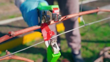 Bahçe zımbasıyla asma, yavaş çekimde yakın çekim. Yüksek kaliteli FullHD görüntüler