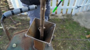 Kesmek için öğütücüye dal yerleştirmek, yakın plan. Yüksek kaliteli FullHD görüntüler