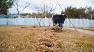 Baharda çim biçme, el arabası ve arka planda yabalarla tırmık. Yüksek kaliteli FullHD görüntüler