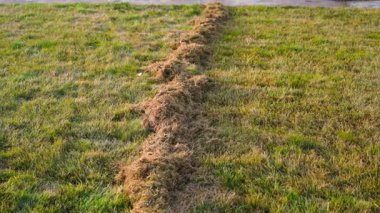 Bahar temizliği sırasında çimlerin üzerinde düzgün bir kamera hareketi. Yüksek kaliteli FullHD görüntüler