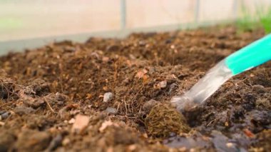 Tohum ekmeden önce toprağı sulamak, ağır çekim. Bir serada çalışıyorum. Yüksek kaliteli FullHD görüntüler