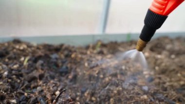 Nemlendirici yeni ekilmiş tohumlar püskürterek, yavaş çekimde yakın çekim. Yüksek kaliteli FullHD görüntüler