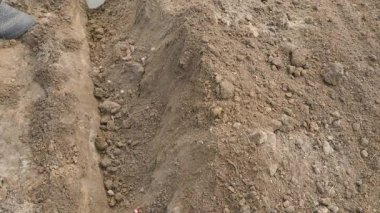 Mineral gübresi patates ekmeden önce sıraya dökülür. Yüksek kalite 4k görüntü