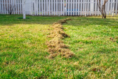 Kıştan sonra çimleri tırmıklamanın bir sonucu olarak kuru bir ot yığını. Bahar çim bakımı ve temizlik.