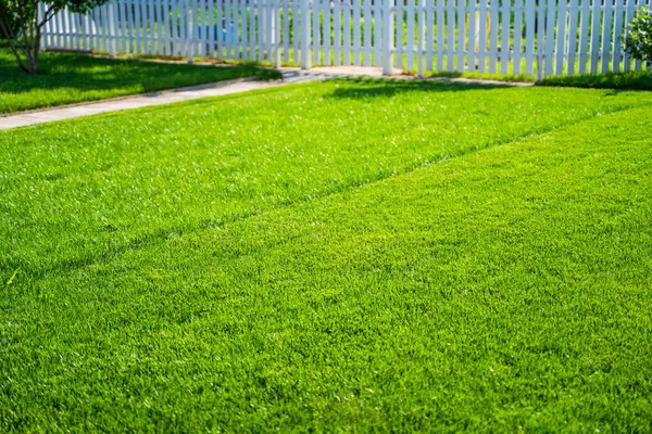 Güneşli bir günde çim biçme sırasında yeşil çimenler. Çim biçme makinesiyle çim biçmeden önce ve sonra.