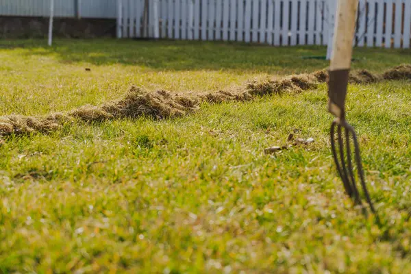 Kıştan sonra çimleri tırmıklamanın bir sonucu olarak kuru bir ot yığını. Bahar çim bakımı ve temizlik.