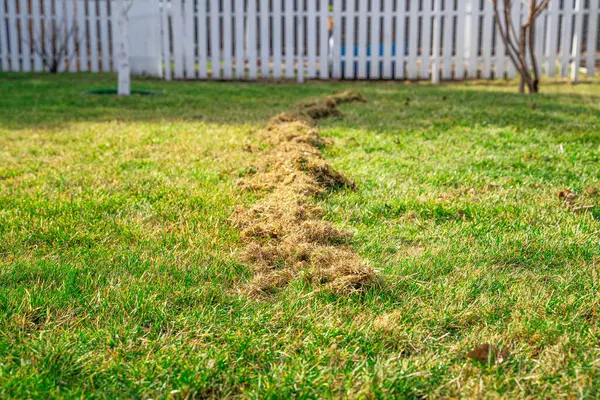Kıştan sonra çimleri tırmıklamanın bir sonucu olarak kuru bir ot yığını. Bahar çim bakımı ve temizlik.