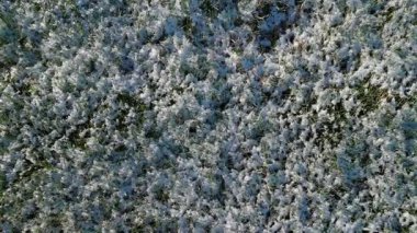 Kar çimenleri kaplıyor, yakın plan. Pürüzsüz kamera zoom, üst manzara. Yüksek kaliteli FullHD görüntüler