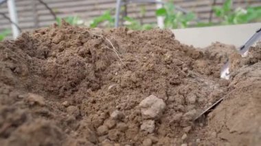 Bir kürek, bahçe yatağındaki toprağı kazıyor, yakın plan. Ağır çekim. Yüksek kaliteli FullHD görüntüler