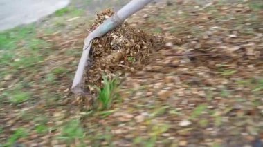 Odun parçalarını tırmıkla temizliyor, yavaş çekimde yakın çekimde. Yüksek kaliteli FullHD görüntüler