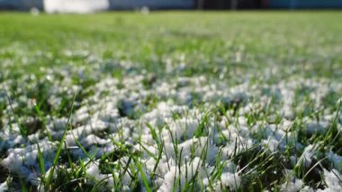 Güneşli bir sabahta eriyen karla yeşil çimlerin üzerinde yumuşak bir kamera hareketi. Yüksek kaliteli FullHD görüntüler