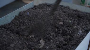 Akşamları bir serada, bir yatak kazmak. Yüksek kalite 4k görüntü