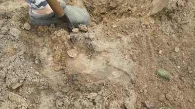 Bahçenin toprağında kürekle kazmak, üst manzara. Yüksek kalite 4k görüntü