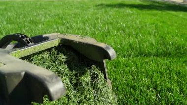 Çim biçme makinesi çantasının etrafında çim kesikleriyle dolu düzgün bir kamera hareketi. Güneşli bir yaz günü, çimleri biçiyorum. Yüksek kaliteli FullHD görüntüler