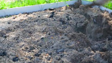 Bitkisel bir bahçe yatağının toprağını düz bir keski ile kazmak, yakın plan. Yüksek kalite 4k görüntü