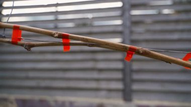 İlkbaharda yaprakları olmayan bir üzüm bağının yakınındaki kamera hareketleri, yakın çekim. Yüksek kaliteli FullHD görüntüler