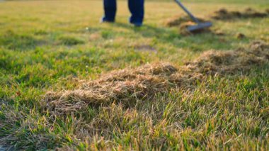 Kıştan sonra çimleri tırmıkla tarama işlemi. Baharda çim bakımı, yavaş çekim. Yüksek kaliteli FullHD görüntüler