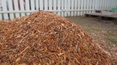 Ağaç öğütücüsünün dallarını inceledikten sonra yakın plan odun parçaları, düzgün kamera hareketi. Yüksek kaliteli FullHD görüntüler