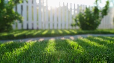 Çitin içinden geçen gölgeler ve güneş ışığıyla çimlerin üzerinde düzgün bir kamera hareketi. Yeşil çimleri ve çalıları olan bir bahçe. Yüksek kaliteli FullHD görüntüler