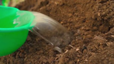 Bahçe yatağının zeminine su dökmek yavaş çekimde kapanır. Yüksek kaliteli FullHD görüntüler