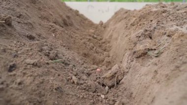 Bahçe yatağının toprağına granüler haşere kontrol katkı maddesi eklenir. Kapatın. Yüksek kaliteli FullHD görüntüler