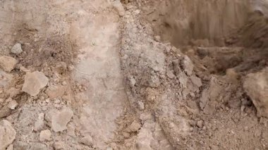 Sebze bahçesi yatağının toprağını kazan küreğe yakın plan. Yüksek kalite 4k görüntü