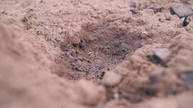 Bahçe yatağının zeminindeki hazırlanmış buhranın içine bir haşere kontrolü katkı maddesi dökülüyor. Yüksek kaliteli FullHD görüntüler